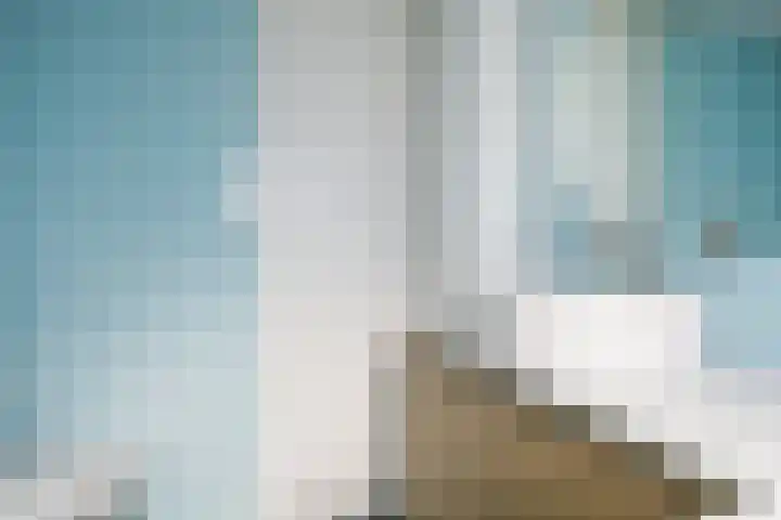 Boeier 5 Heerenveen thumbnail 30