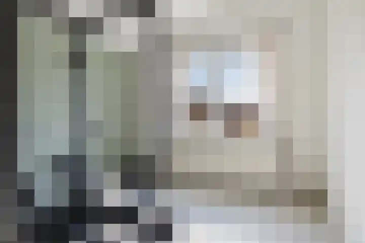 Boeier 5 Heerenveen thumbnail 34