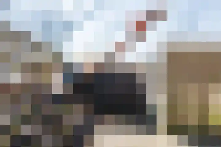Boeier 5 Heerenveen thumbnail 36