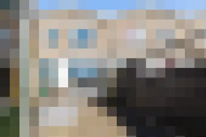 Boeier 5 Heerenveen thumbnail 39