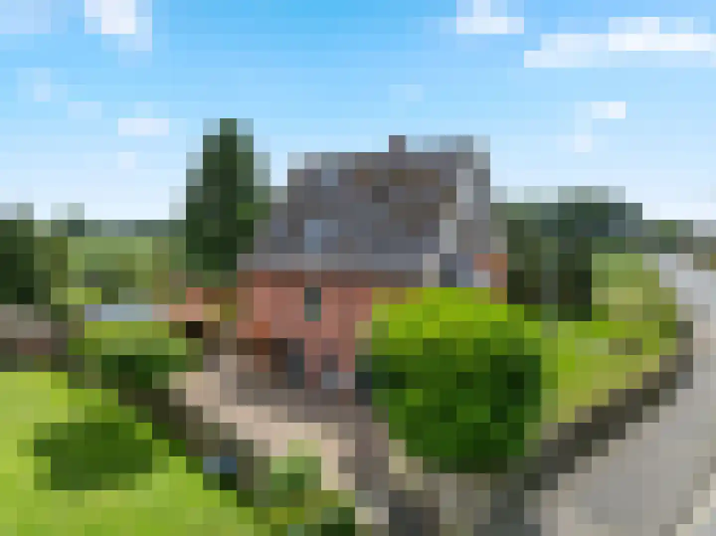 Boeier 60 60 Lelystad thumbnail 24