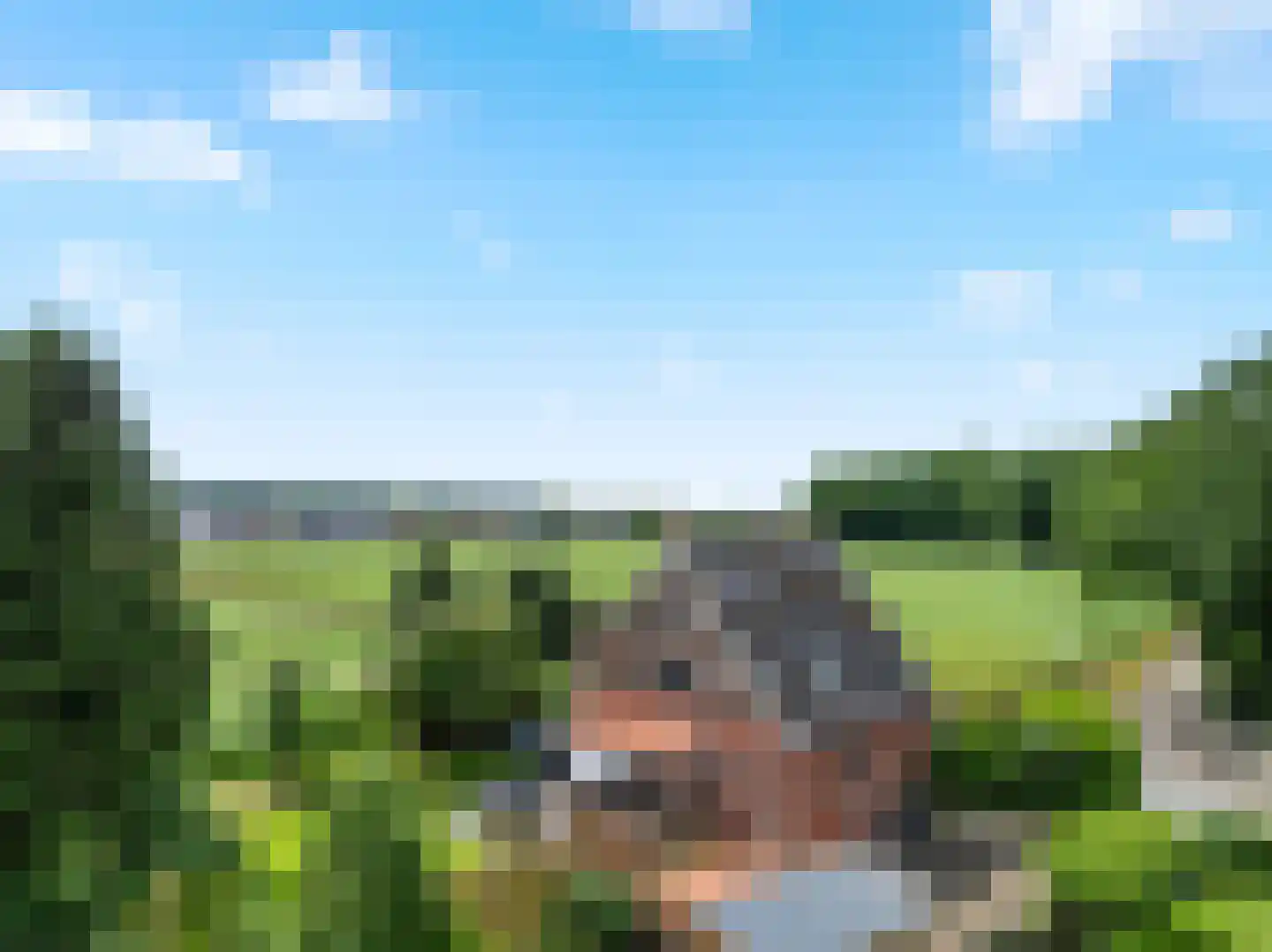 Boeier 60 60 Lelystad thumbnail 26