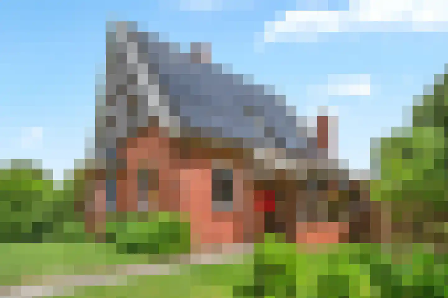 Boeier 60 60 Lelystad thumbnail 30