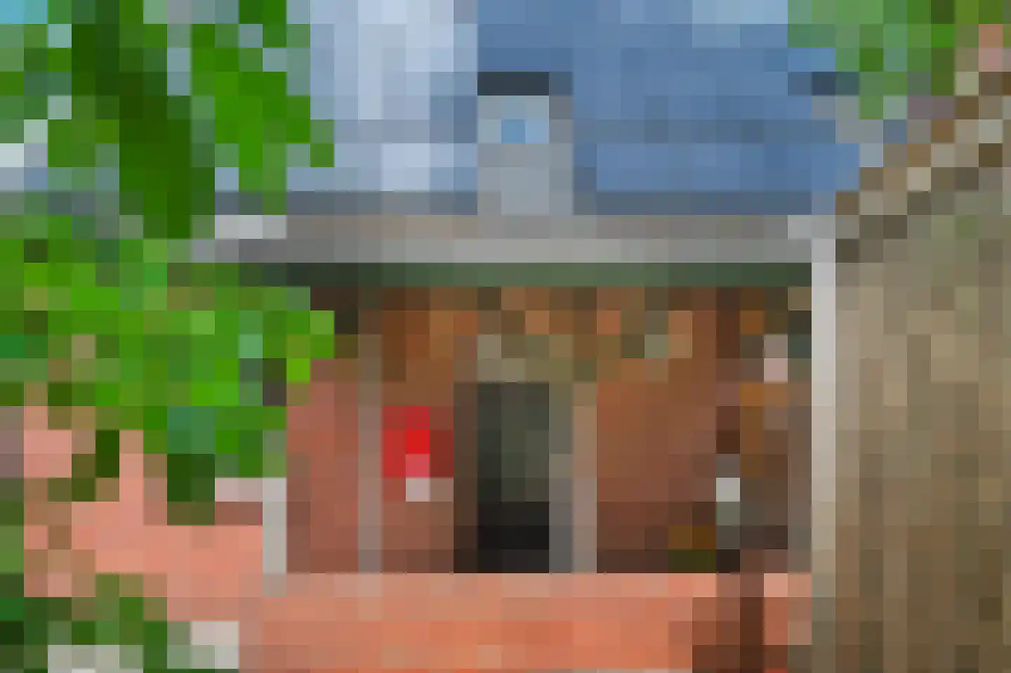 Boeier 60 60 Lelystad thumbnail 31