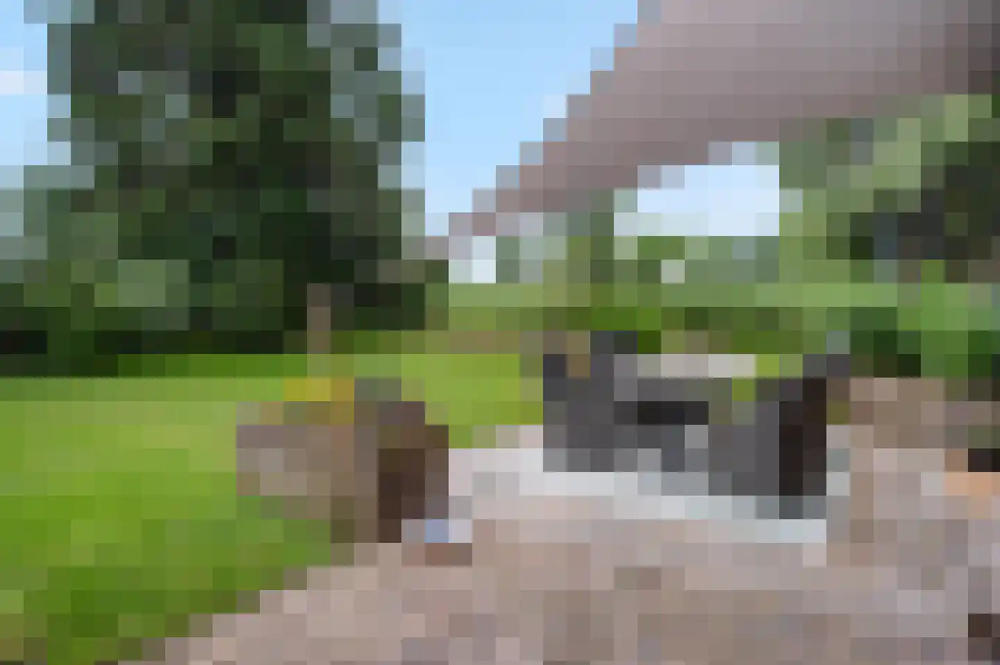 Boeier 60 60 Lelystad thumbnail 34