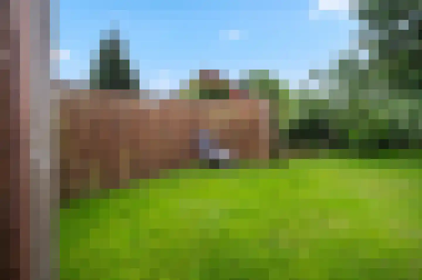Boeier 60 60 Lelystad thumbnail 38