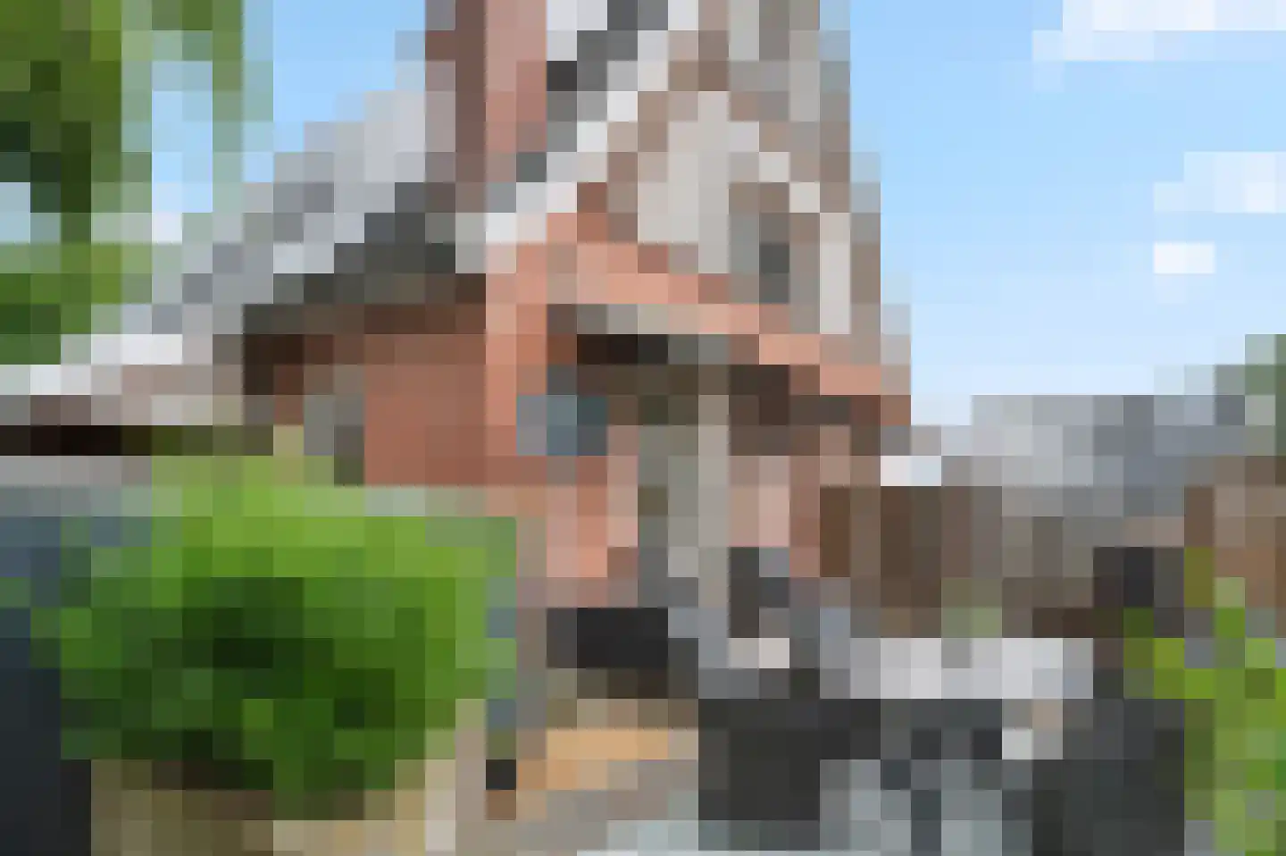 Boeier 60 60 Lelystad thumbnail 39