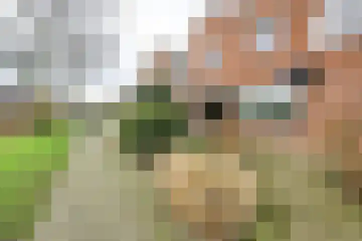 Boeier 68 Barendrecht thumbnail 10