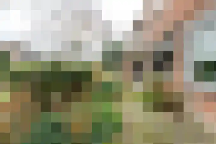 Boeier 68 Barendrecht thumbnail 11