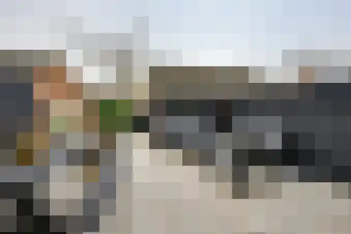 Boeier 68 Barendrecht thumbnail 17