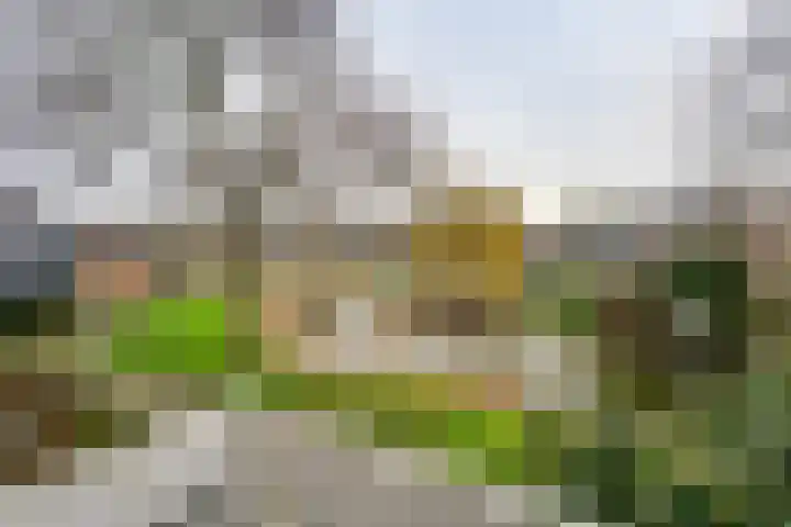 Boeier 68 Barendrecht thumbnail 31