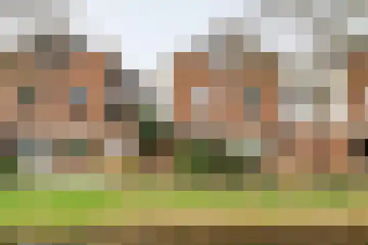 Boeier 68 Barendrecht thumbnail 6