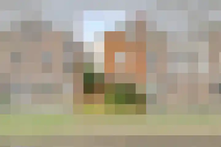 Boeier 68 Barendrecht thumbnail 7