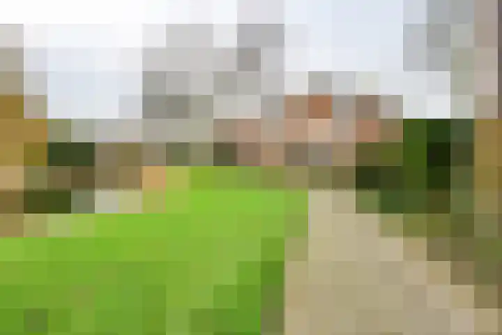 Boeier 68 Barendrecht thumbnail 8