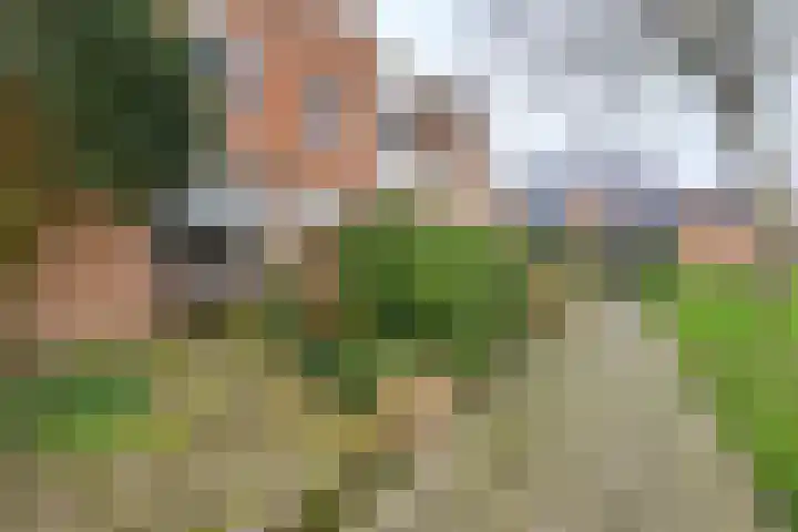 Boeier 68 Barendrecht thumbnail 9