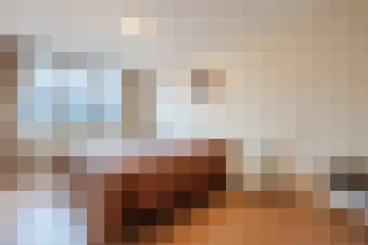 Boeier 7 Oud-Beijerland thumbnail 10