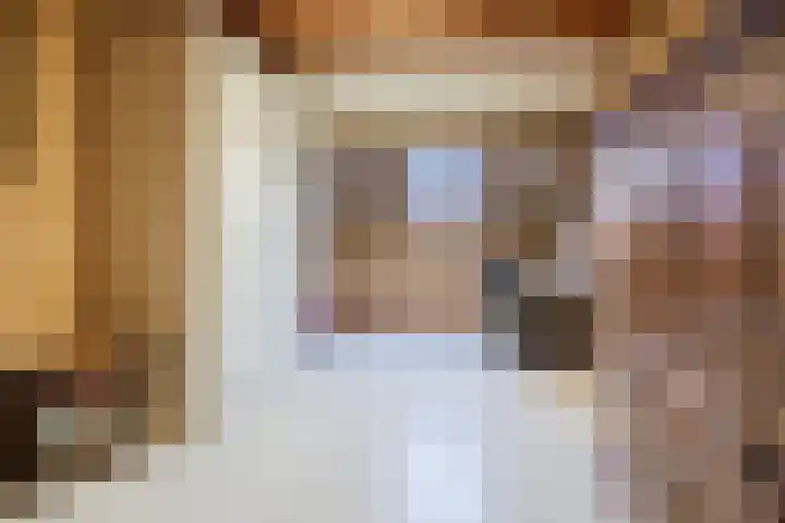 Boeier 7 Oud-Beijerland thumbnail 19