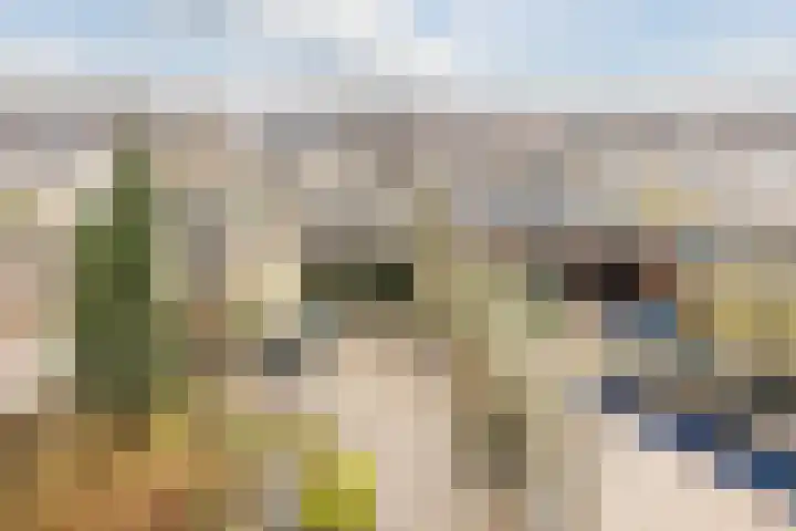 Boeier 7 Oud-Beijerland thumbnail 21