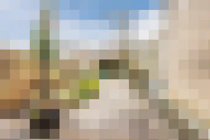 Boeier 7 Oud-Beijerland thumbnail 22