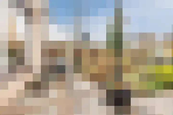 Boeier 7 Oud-Beijerland thumbnail 23