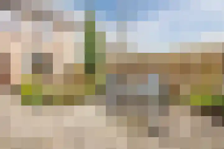 Boeier 7 Oud-Beijerland thumbnail 24