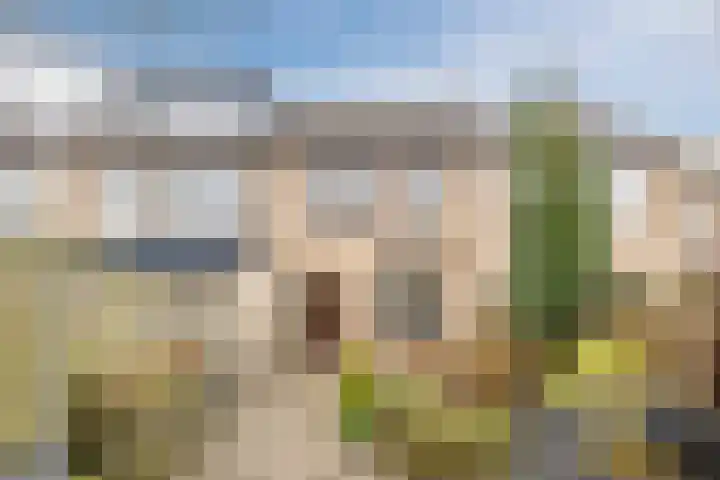 Boeier 7 Oud-Beijerland thumbnail 25