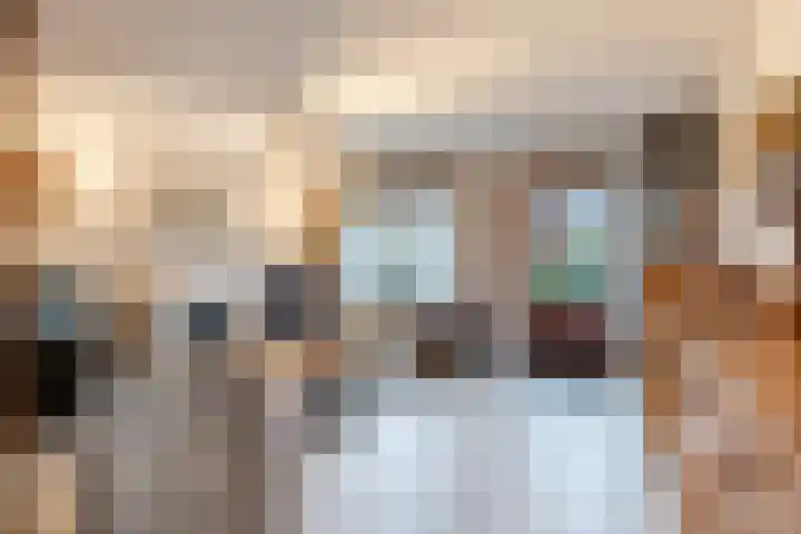 Boeier 7 Oud-Beijerland thumbnail 4