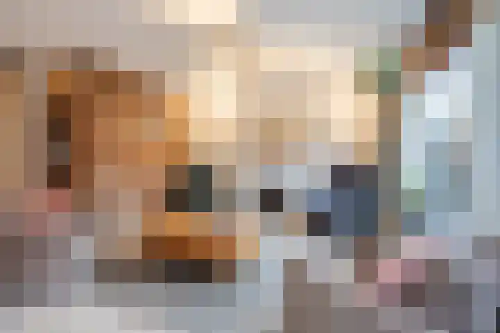 Boeier 7 Oud-Beijerland thumbnail 5
