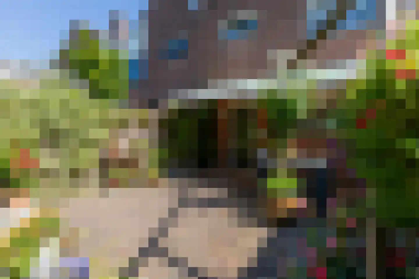 Boeier 74 Barendrecht thumbnail 37