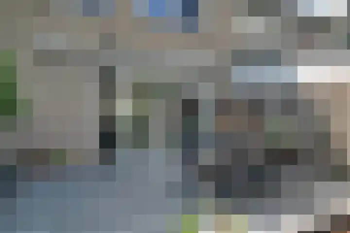 Boeier 83 Hoorn thumbnail 15