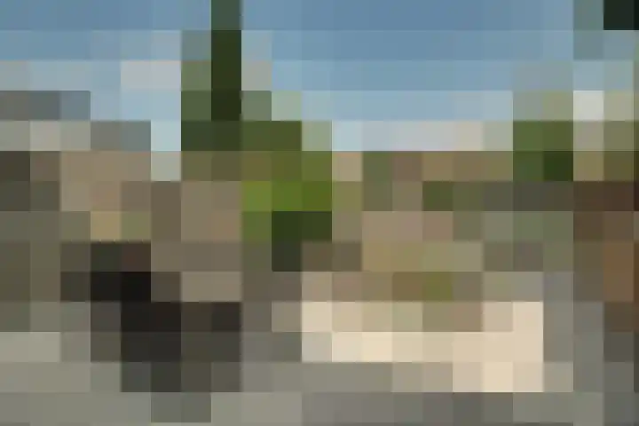 Boeier 83 Hoorn thumbnail 16