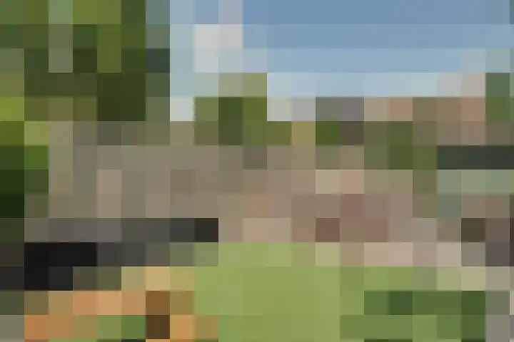 Boeier 83 Hoorn thumbnail 17