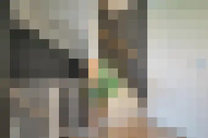 Boeier 83 Hoorn thumbnail 20