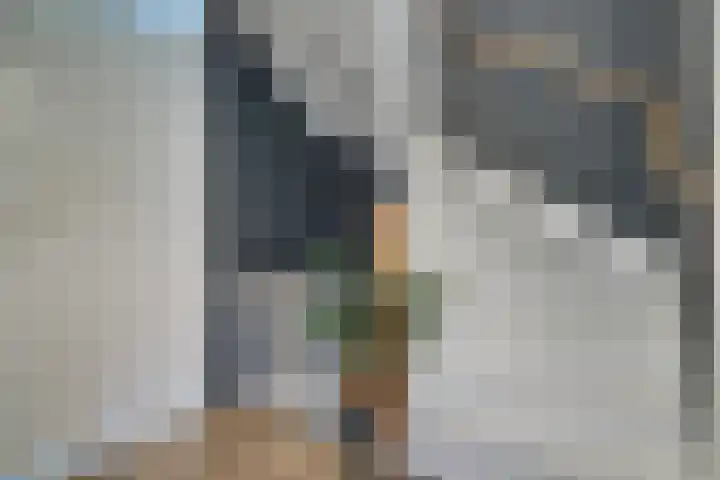 Boeier 83 Hoorn thumbnail 21
