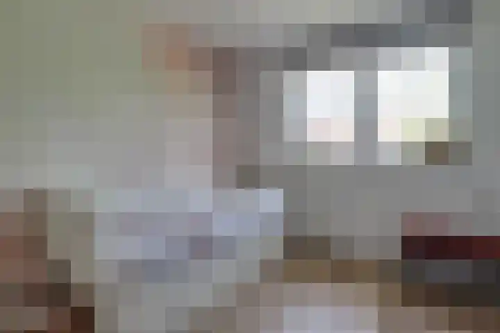 Boeier 83 Hoorn thumbnail 22