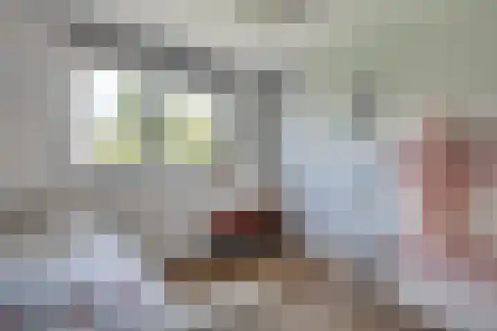 Boeier 83 Hoorn thumbnail 23