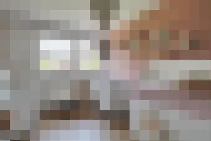 Boeier 83 Hoorn thumbnail 26