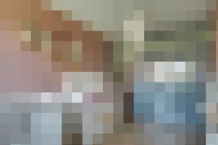 Boeier 83 Hoorn thumbnail 27