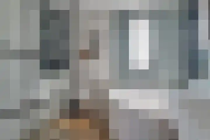 Boeier 83 Hoorn thumbnail 28