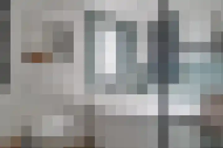 Boeier 83 Hoorn thumbnail 29