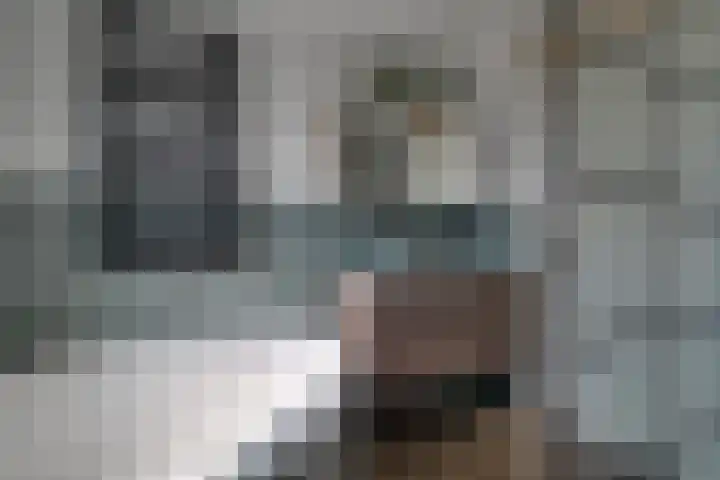 Boeier 83 Hoorn thumbnail 30