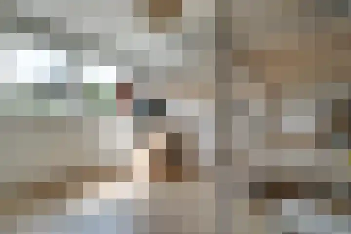 Boeier 83 Hoorn thumbnail 32