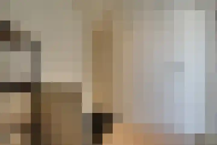Boeier 83 Hoorn thumbnail 34