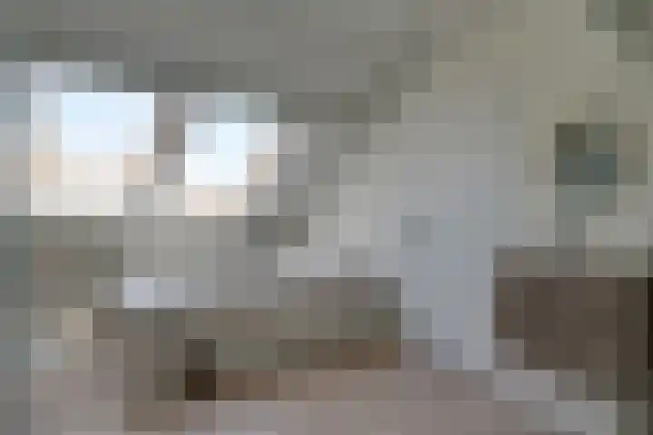 Boeier 83 Hoorn thumbnail 37