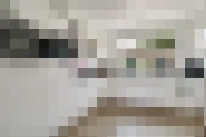 Boeier 83 Hoorn thumbnail 4