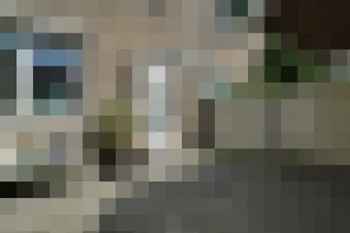Boeier 83 Hoorn thumbnail 43