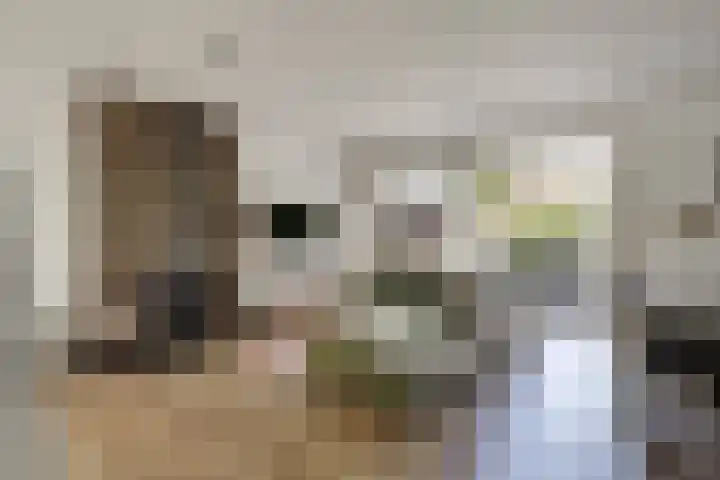 Boeier 83 Hoorn thumbnail 5