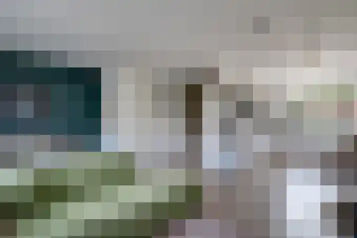 Boeier 83 Hoorn thumbnail 7