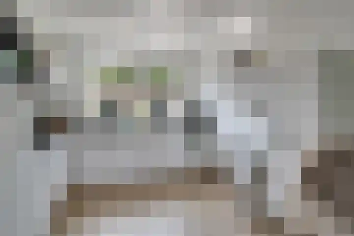 Boeier 83 Hoorn thumbnail 9