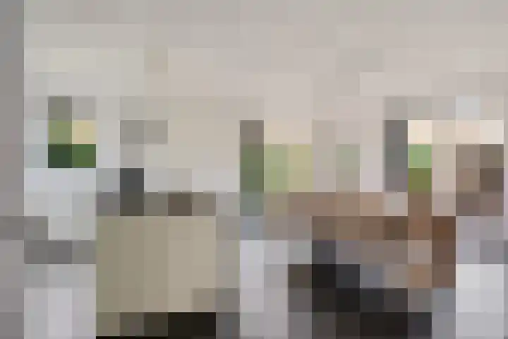 Boeier 9 Gorredijk thumbnail 11